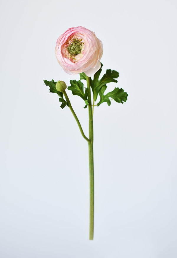 Blush Silk-Touch Ranunculus Stem in a styled home setting