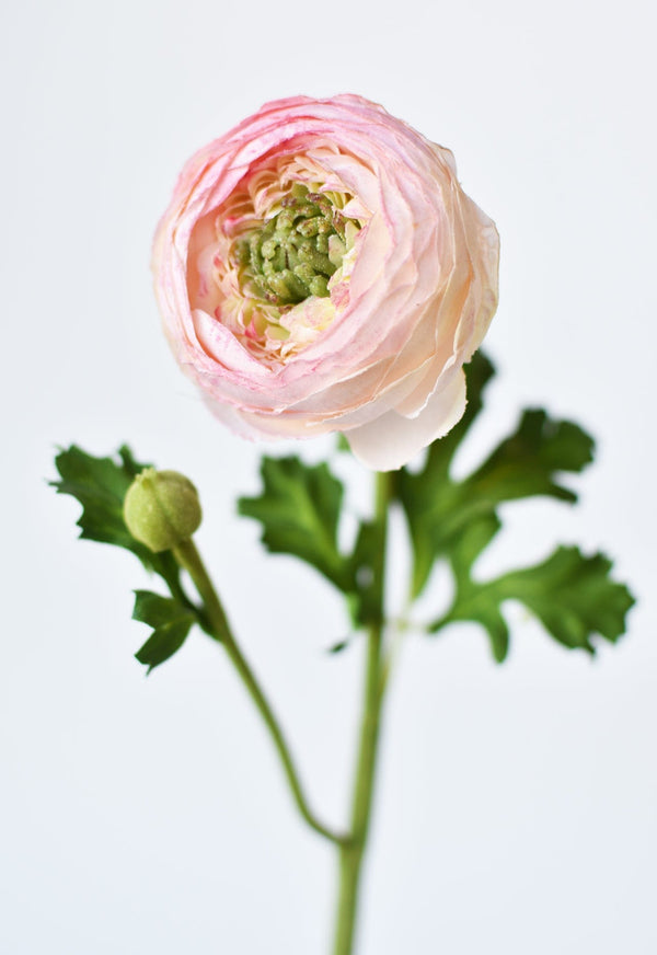Close-up of material and construction detail — Blush Silk-Touch Ranunculus Stem