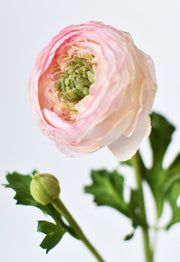 Blush Silk-Touch Ranunculus Stem — Silk-touch ranunculus stem in cream-to-blush with bud and foliage