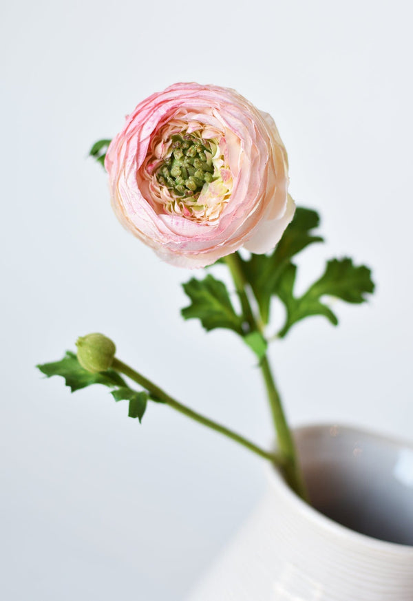 Blush Silk-Touch Ranunculus Stem — scale reference and proportion detail