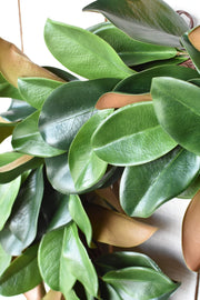 Faux Magnolia Leaf Round Wreath in a styled home setting