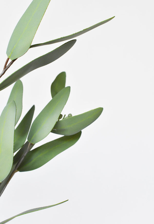 Sage Faux Eucalyptus Leaf Stem