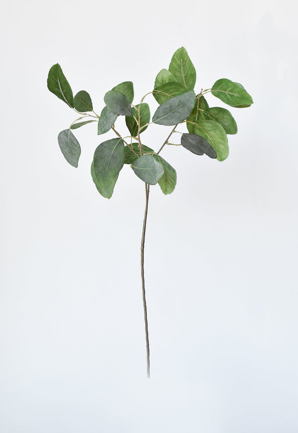 Matte Faux Eucalyptus Botanical Stem in a styled home setting
