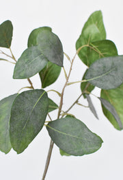 Matte Faux Eucalyptus Botanical Stem — scale reference and proportion detail