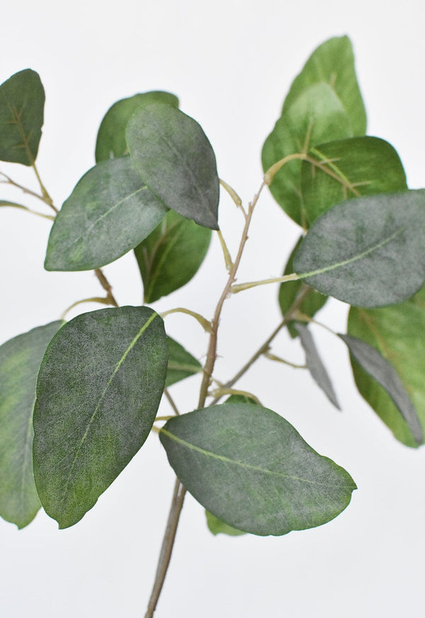 Matte Faux Eucalyptus Botanical Stem — scale reference and proportion detail
