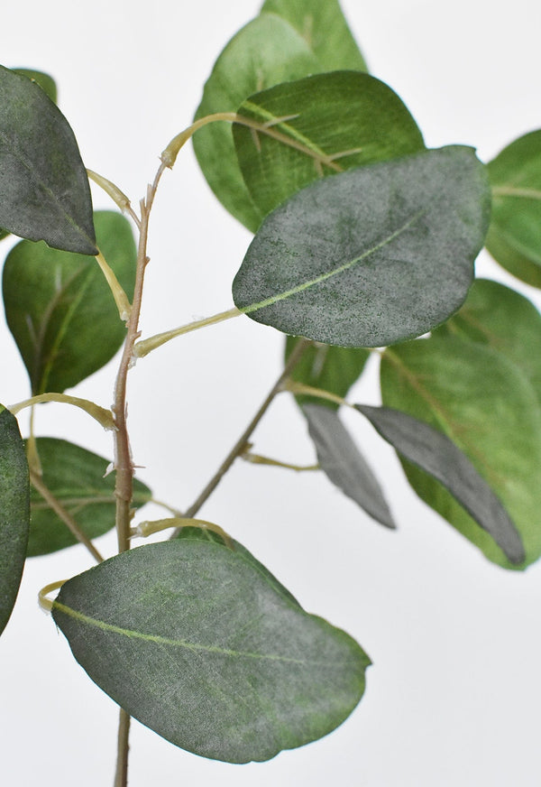 Close-up of slatted wood construction and grain detail — Matte Faux Eucalyptus Botanical Stem