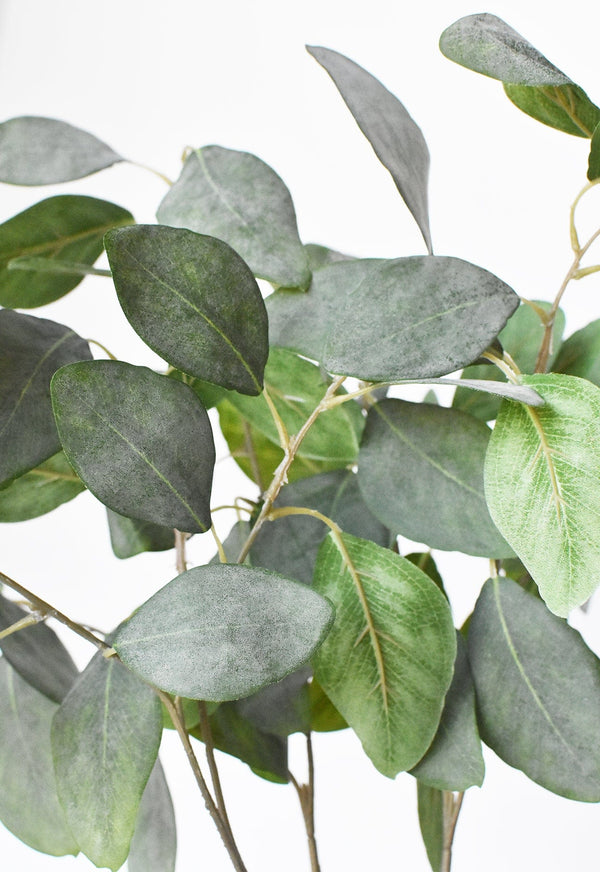 Matte Faux Eucalyptus Botanical Stem — alternate view or variant option