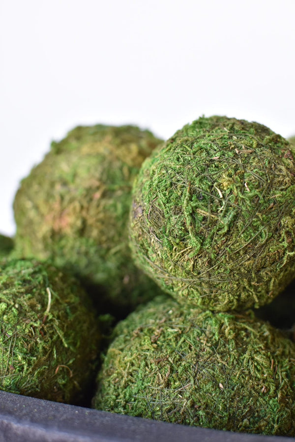 Preserved Moss Decorative Ball Set in a styled home setting