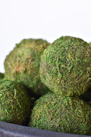 Preserved Moss Decorative Ball Set in a styled home setting