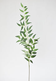 Arching Faux Ruscus Foliage Stem — alternate view or variant option