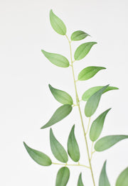 Close-up of hand-thrown stoneware glaze and texture detail — Arching Faux Ruscus Foliage Stem