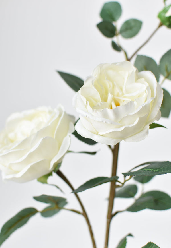 Close-up of concrete texture and surface finish detail — Ivory Faux Cabbage Rose Stem