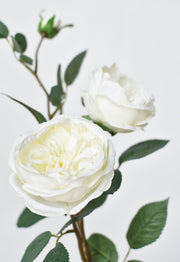 Ivory Faux Cabbage Rose Stem — back and side profile detail
