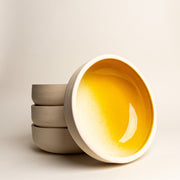 Glazed Ceramic Dinner Bowl