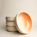 Glazed Ceramic Dinner Bowl