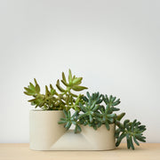 Matte Ceramic Double Planter — Stepped matte ceramic planter with two connected vessels for paired plantings