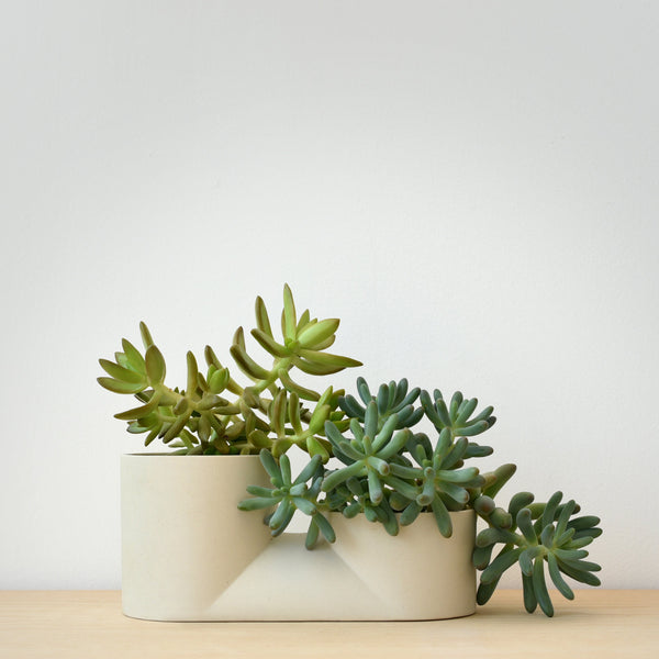 Matte Ceramic Double Planter — Stepped matte ceramic planter with two connected vessels for paired plantings