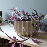 Wrap Planter - 4 sizes — packaging and unboxing view
