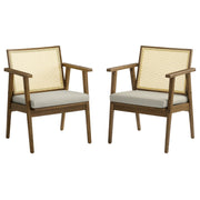 Cane Back Vegan Leather Accent Armchairs, Set of 2