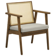 Cane Back Vegan Leather Accent Armchairs, Set of 2