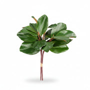 Green Magnolia Leaf Bundle, 18 in