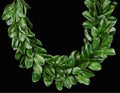 Green Magnolia Leaf Garland, 60 in