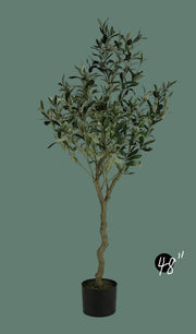 Faux Potted Olive Tree