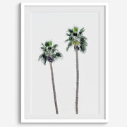 Matte Fine Art Palm Print