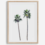 Matte Fine Art Palm Print