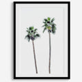 Matte Fine Art Palm Print