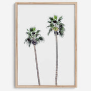 Matte Fine Art Palm Print