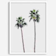 Matte Fine Art Palm Print