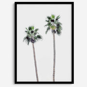 Matte Fine Art Palm Print