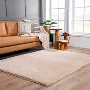 Solid Beige Shag Washable Area Rug