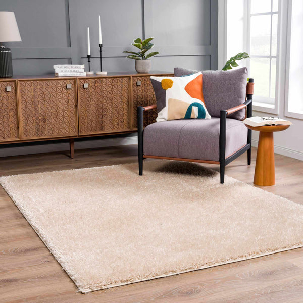 Solid Beige Shag Washable Area Rug