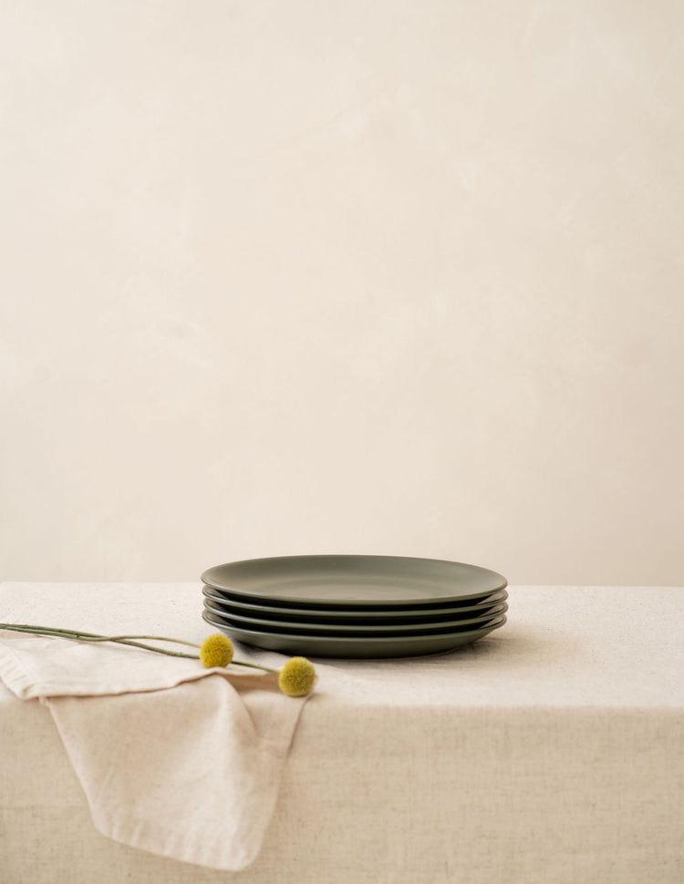 Matte Ceramic Dinner Plate Set