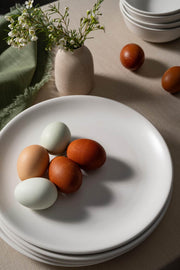 Matte Ceramic Dinner Plate Set