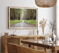 Eucalyptus Tree Tunnel Fine Art Print