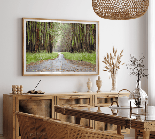 Eucalyptus Tree Tunnel Fine Art Print