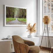 Eucalyptus Tree Tunnel Fine Art Print