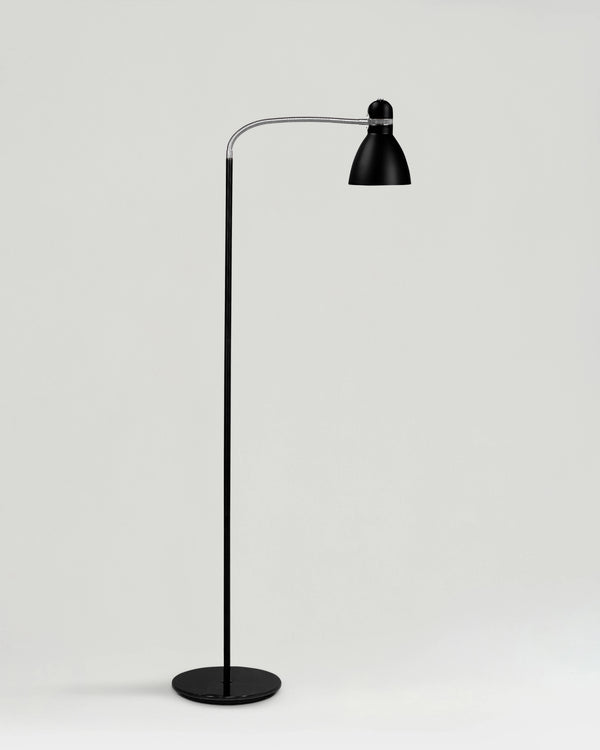 Adjustable Gooseneck Metal Floor Lamp