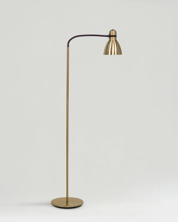 Adjustable Gooseneck Metal Floor Lamp