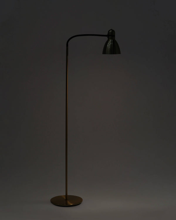 Adjustable Gooseneck Metal Floor Lamp