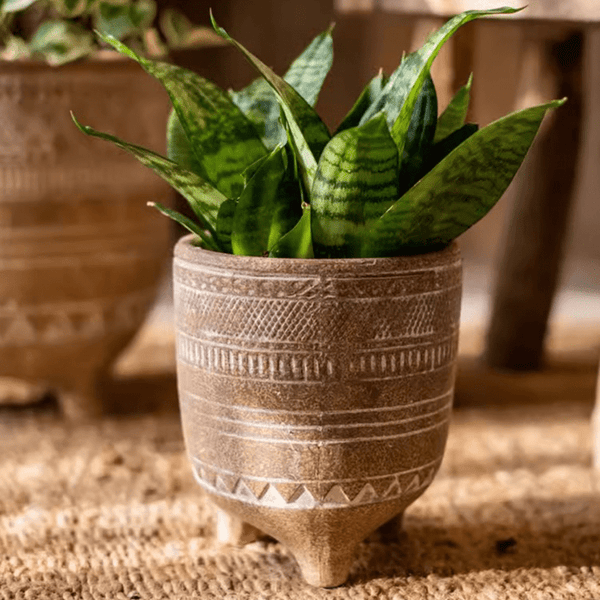 Carved Terracotta-Blend Footed Planter