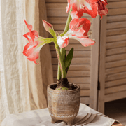 Carved Terracotta-Blend Footed Planter