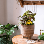 Carved Terracotta-Blend Footed Planter