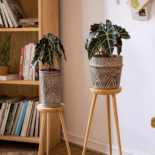 Embossed Clay-Composite Flower Planter