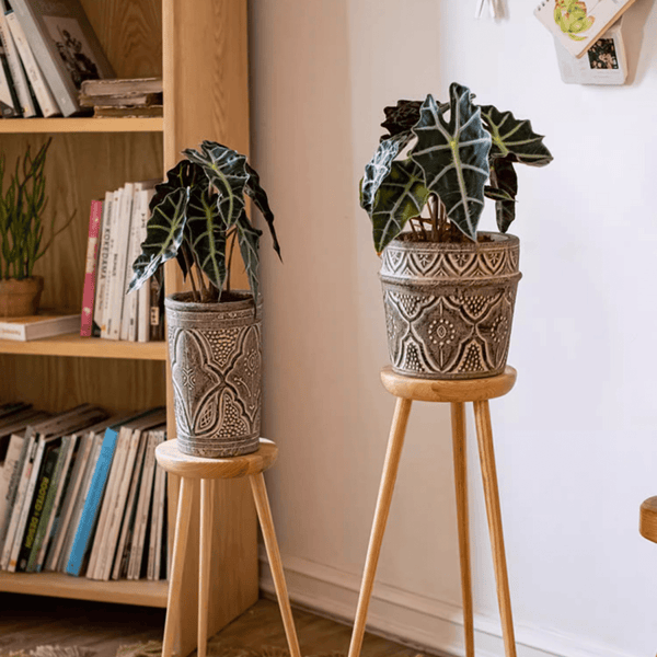 Embossed Clay-Composite Flower Planter