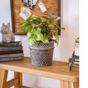 Embossed Clay-Composite Flower Planter
