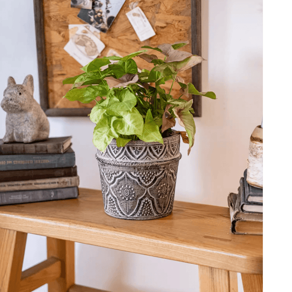 Embossed Clay-Composite Flower Planter